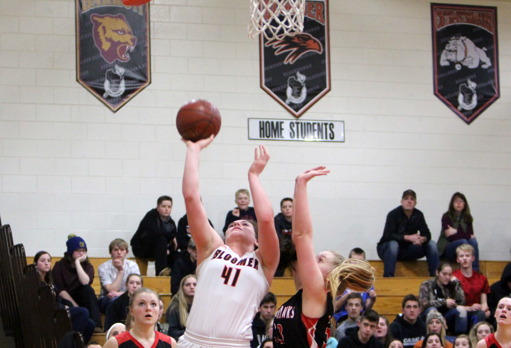 Baldwin-Woodville at Bloomer girls basketball 2-22-19